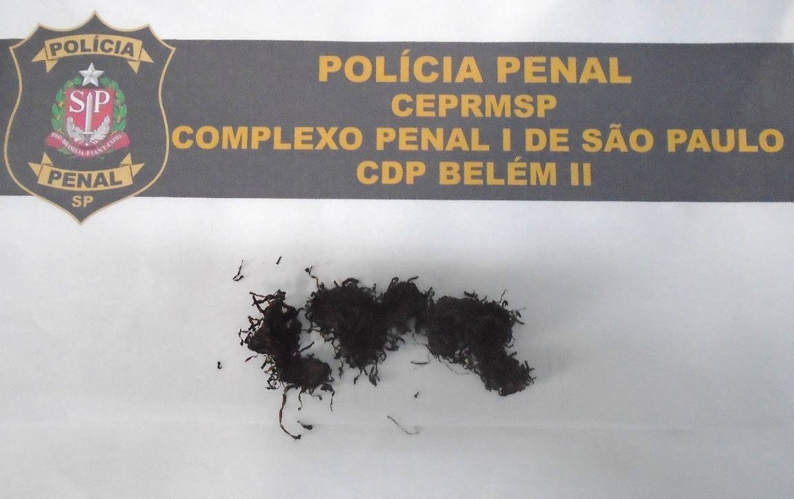 Imagem Notícia