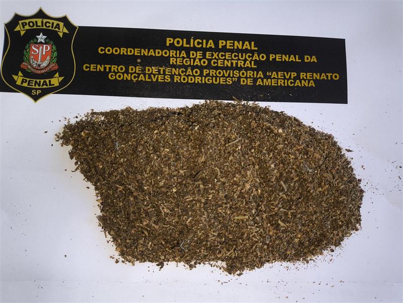 Imagem Notícia